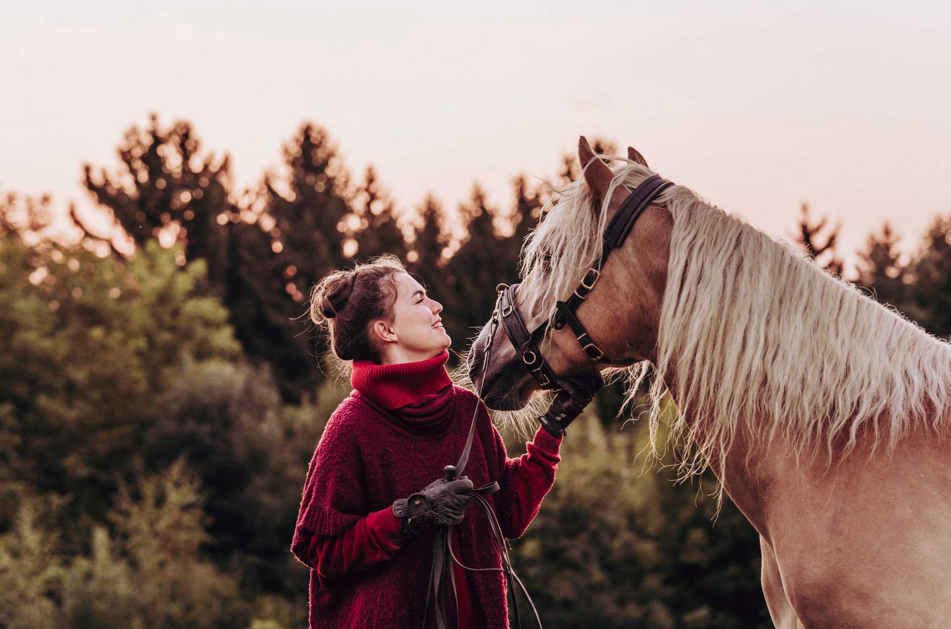 Pferdetshooting-Fotografin-Burgenland-Sonnenaufgang